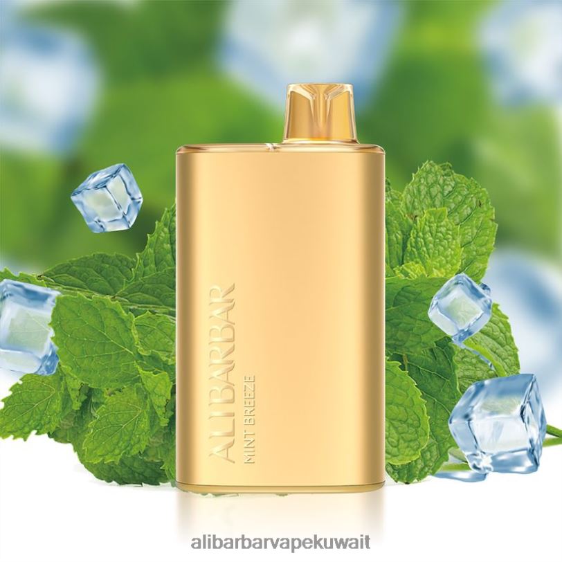 Alibarbar Vape Kuwait - نسيم النعناع 4T8VD8 Alibarbar Rich 8000 سيجارة يمكن التخلص منها
