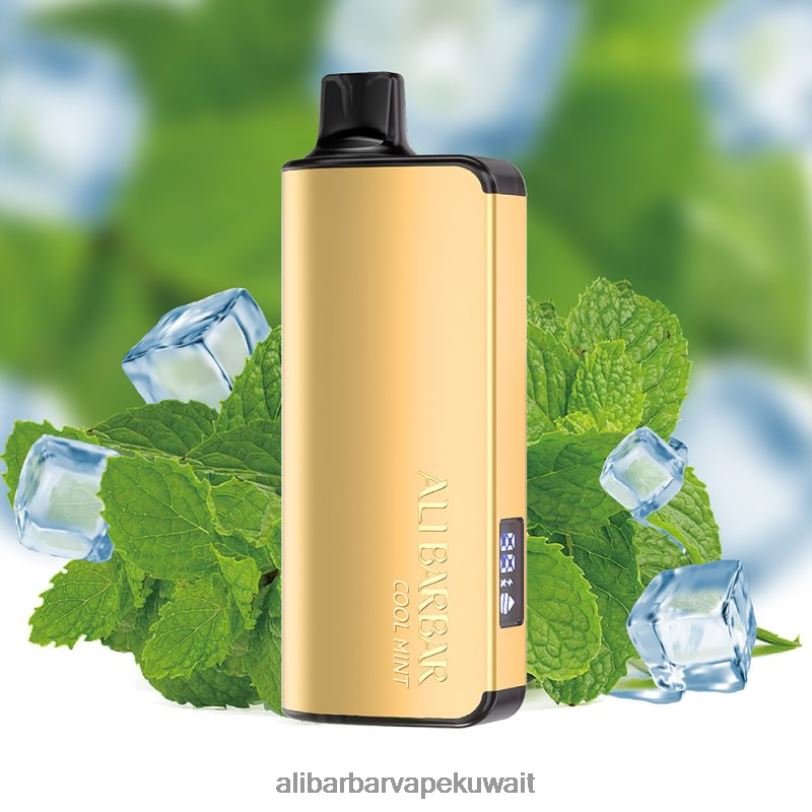 Alibarbar Vape Reddit - نعناع بارد 4T8VD35 Alibarbar Ingot 20000 سيجارة للاستعمال مرة واحدة