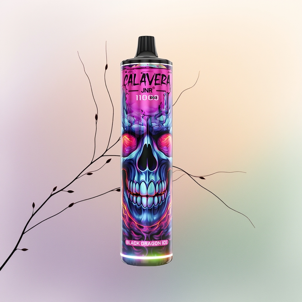 JNR Calavera 11000 التنين الأسود الجليد بشاحن Type-C