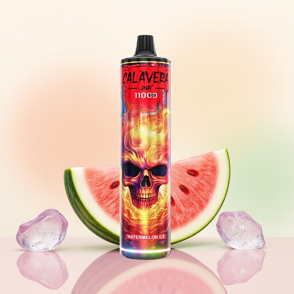 JNR Calavera 11000 بطيخ مثلج بشاحن Type-C