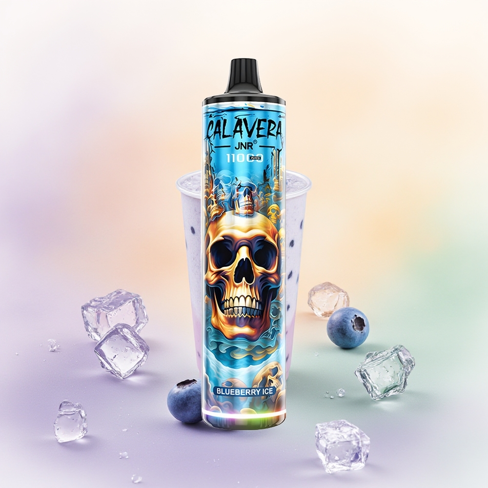 JNR Calavera 11000 توت أزرق مثلج بشاحن Type-C