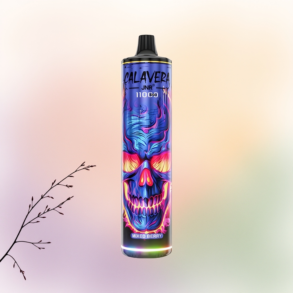 JNR Calavera 11000 توت مشكل بشاحن Type-C
