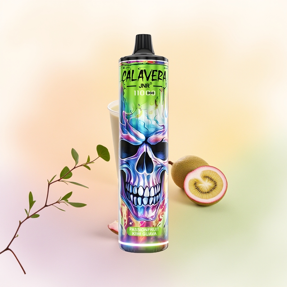 JNR Calavera 11000 جوافة كيوي فاكهة العاطفة بشاحن نوع سي