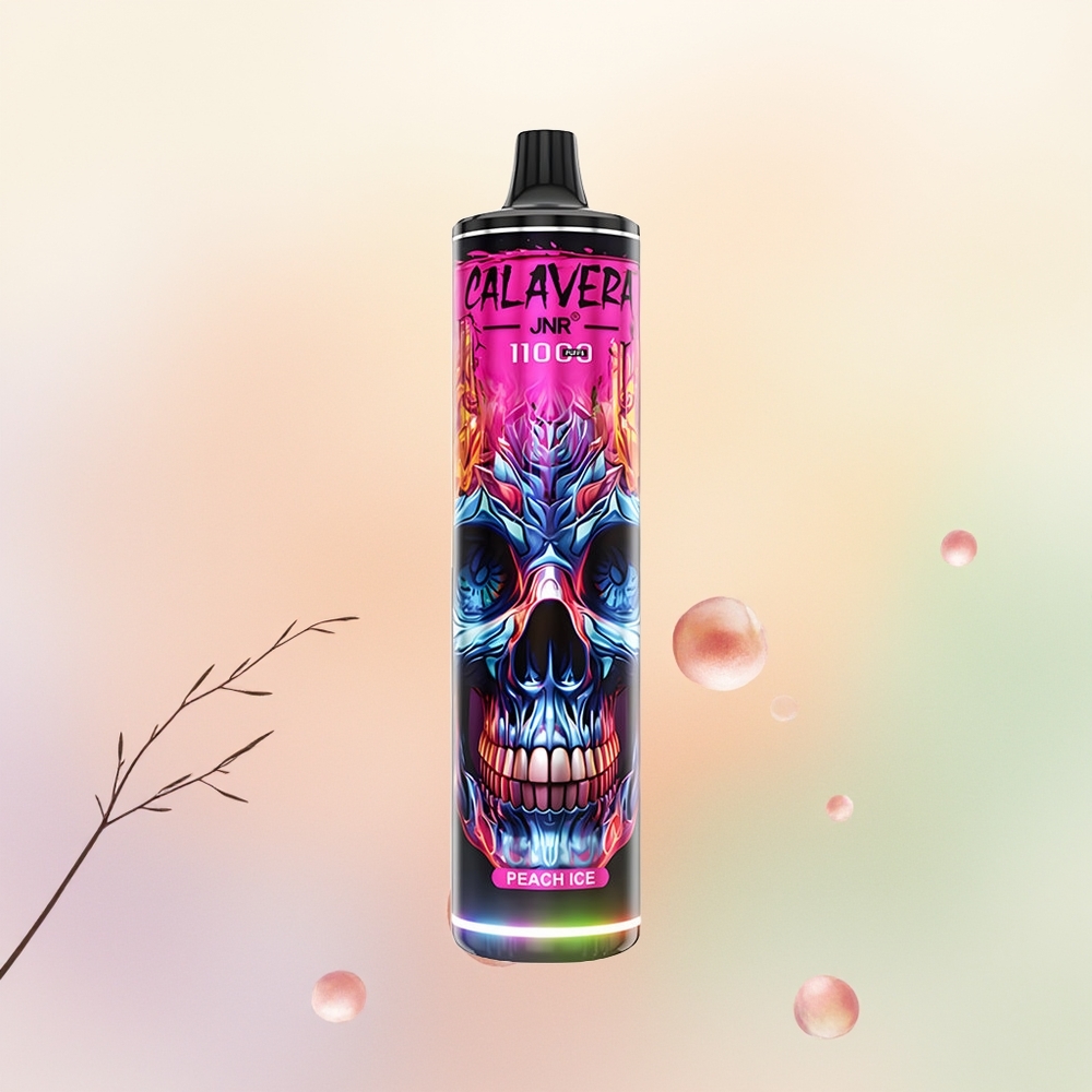 JNR Calavera 11000 خوخ جليدي بشاحن نوع سي