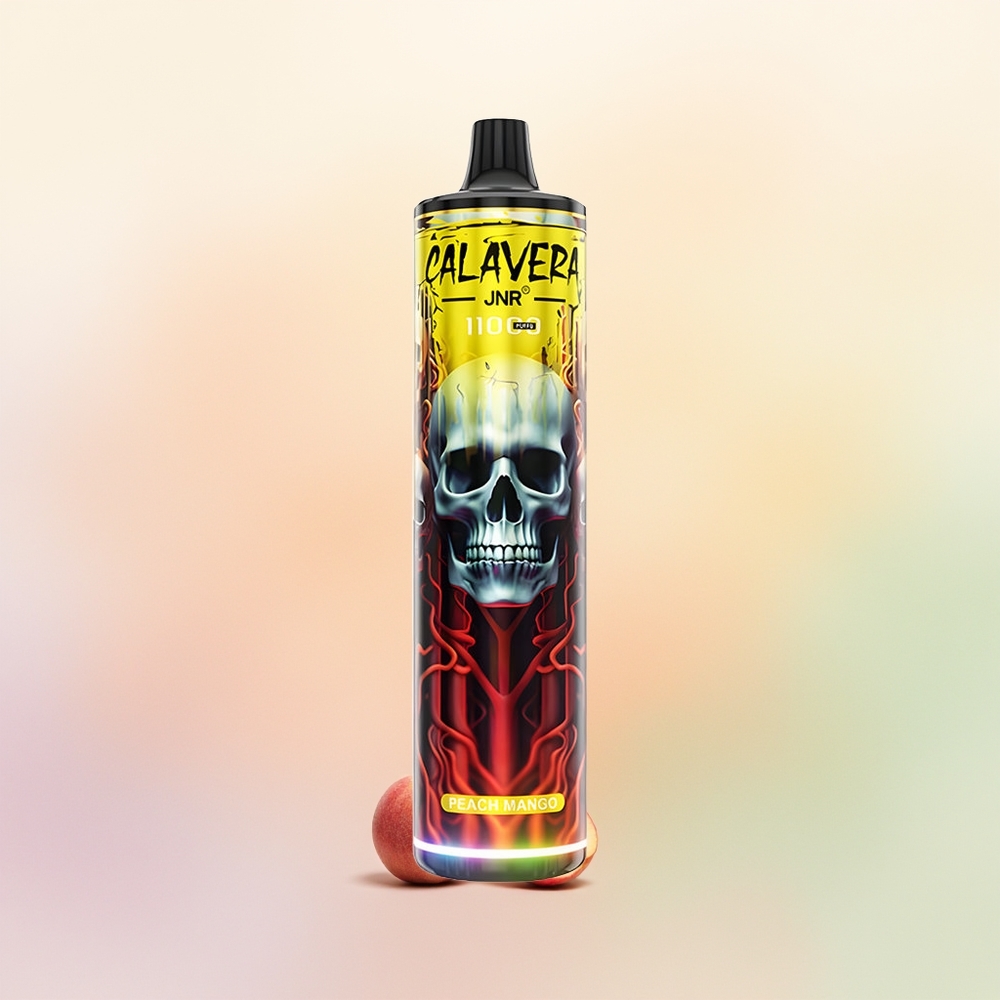 JNR Calavera 11000 خوخ مانجو بشاحن Type-C