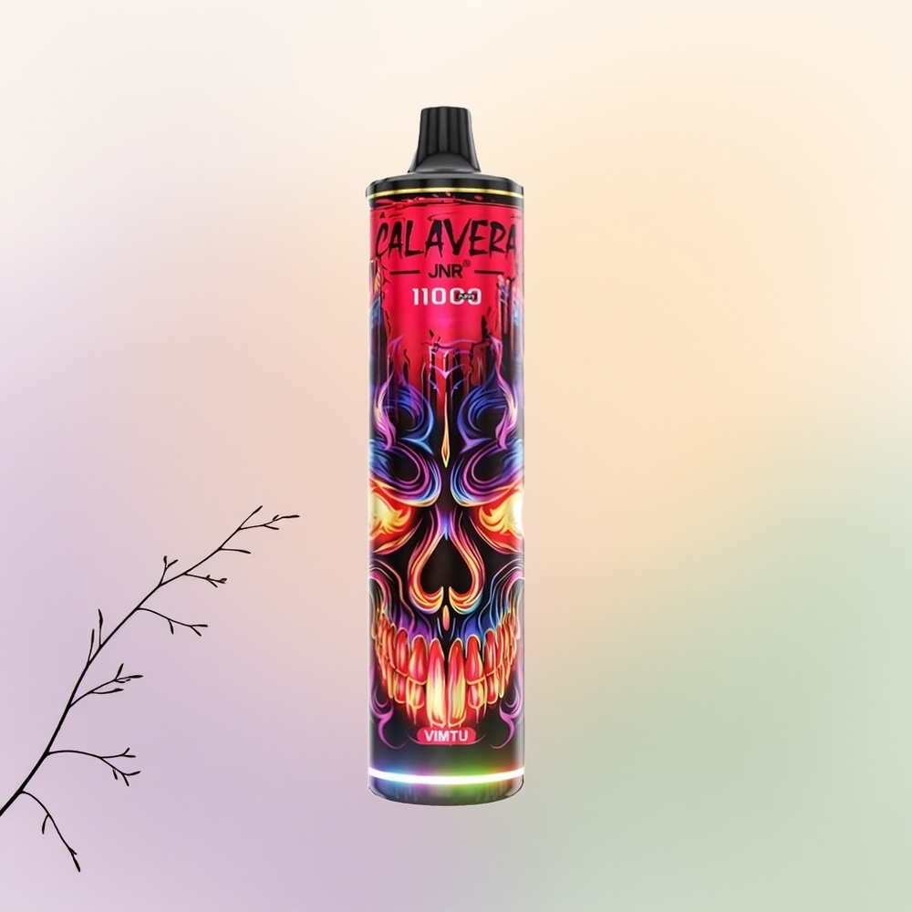 JNR Calavera 11000 فيمتو شاحن نوع سي