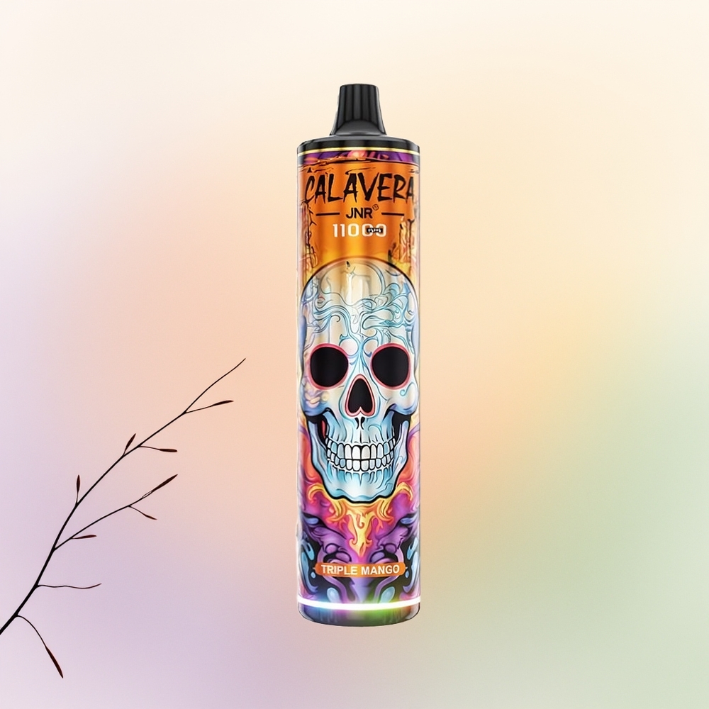 JNR Calavera 11000 مانجو الثلاثي مع شاحن نوع سي