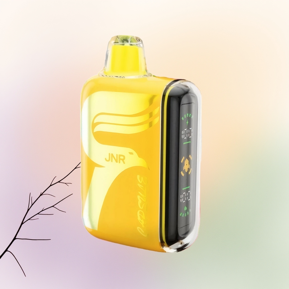 JNR Capsule 15000 طاقة الفواكه الاستوائية مع شاشة ذكية وشحن سريع