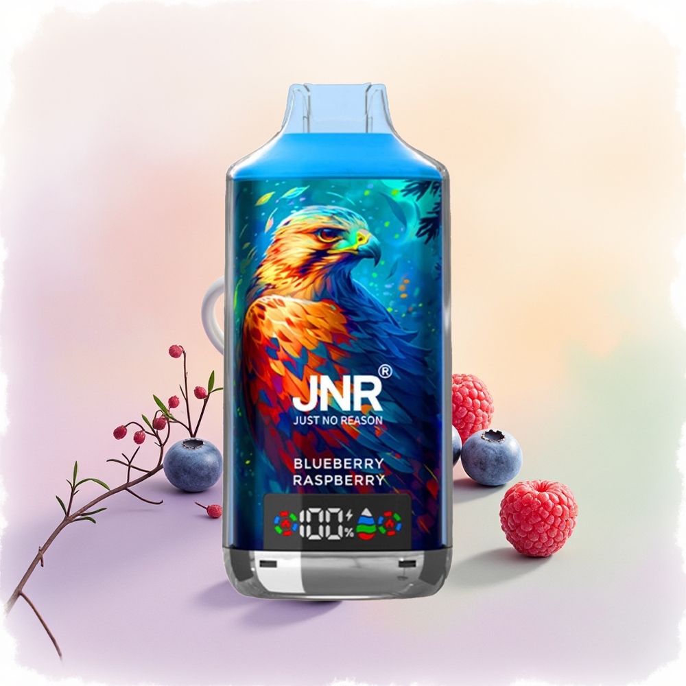 JNR Falcon X 18000 العليق الأزرق والتوت الأحمر بشحن سريع نوع سي وبطارية 750 ملي أمبير