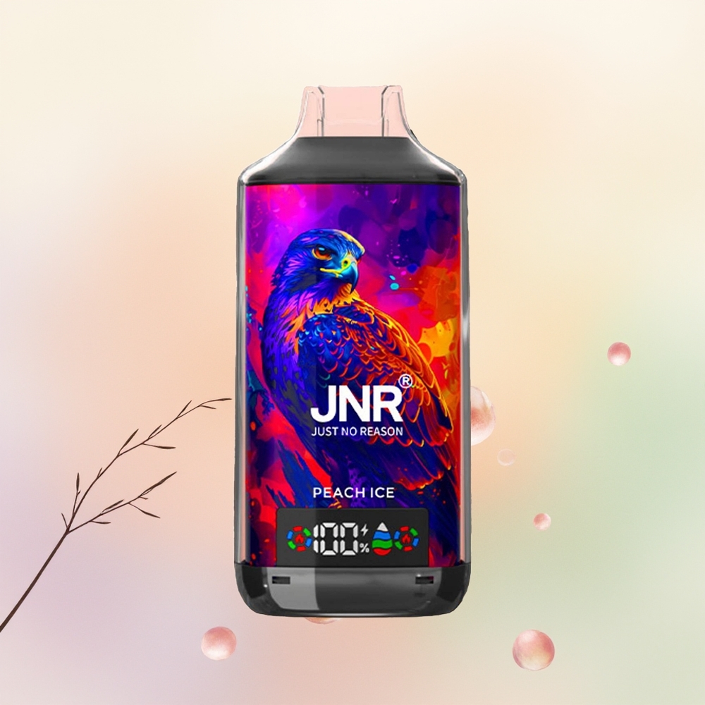 JNR Falcon X 18000 ب Peach Ice 24 ملليلتر شبكة مزدوجة