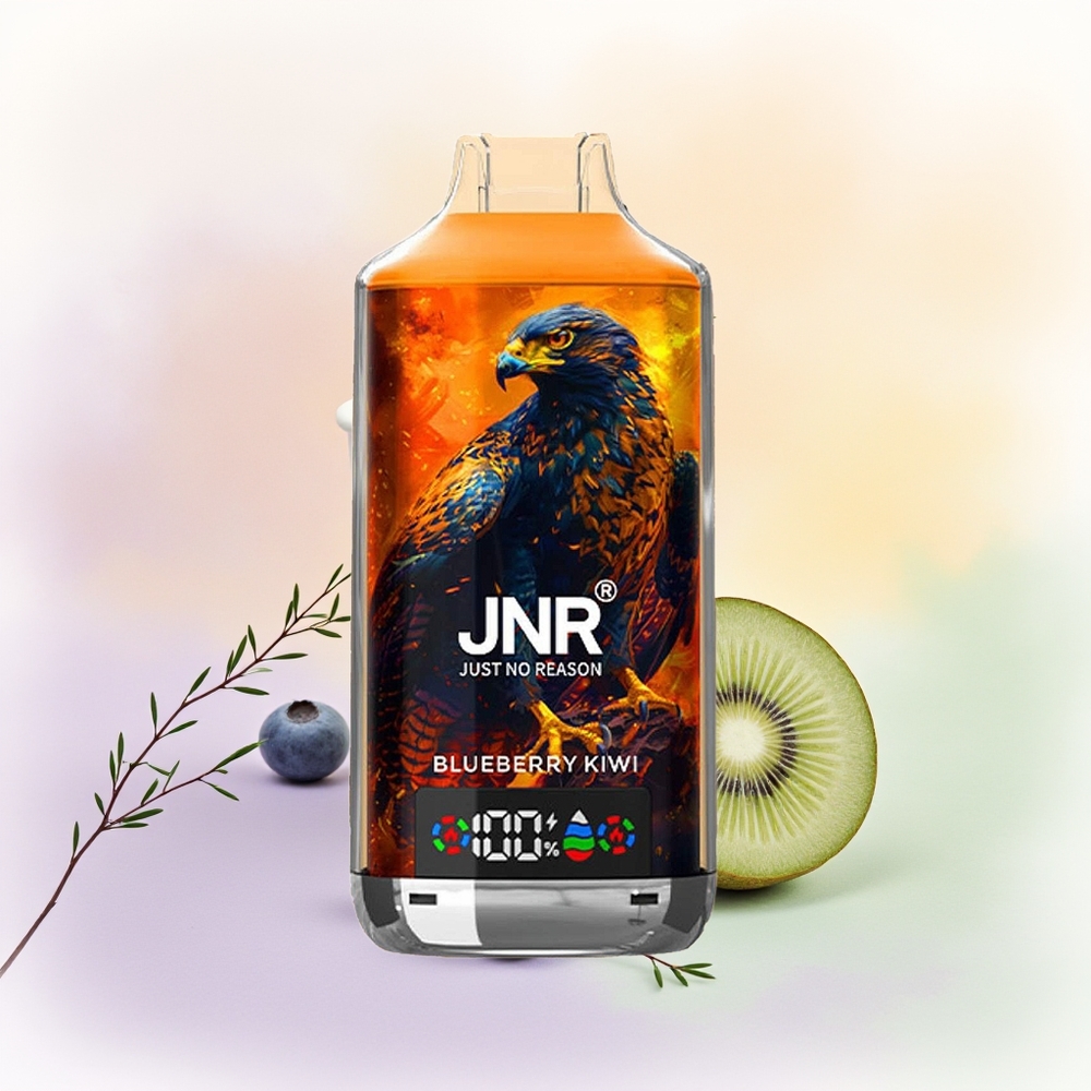 JNR Falcon X 18000 توت أزرق كيوي بشحن سريع نوع سي
