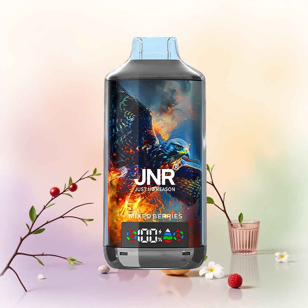 JNR Falcon X 18000 توت مشكل بشاشة رقمية