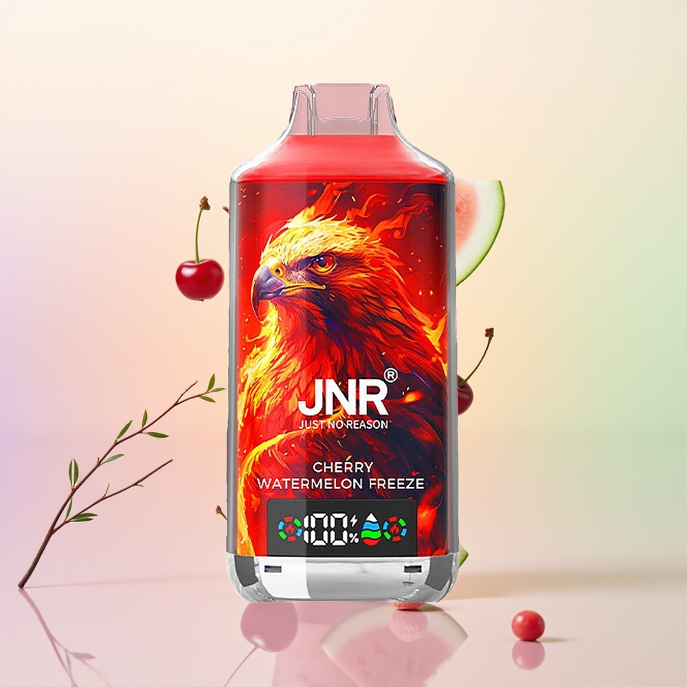 JNR Falcon X 18000 كرز بطيخ مثلج بشحن سريع نوع سي