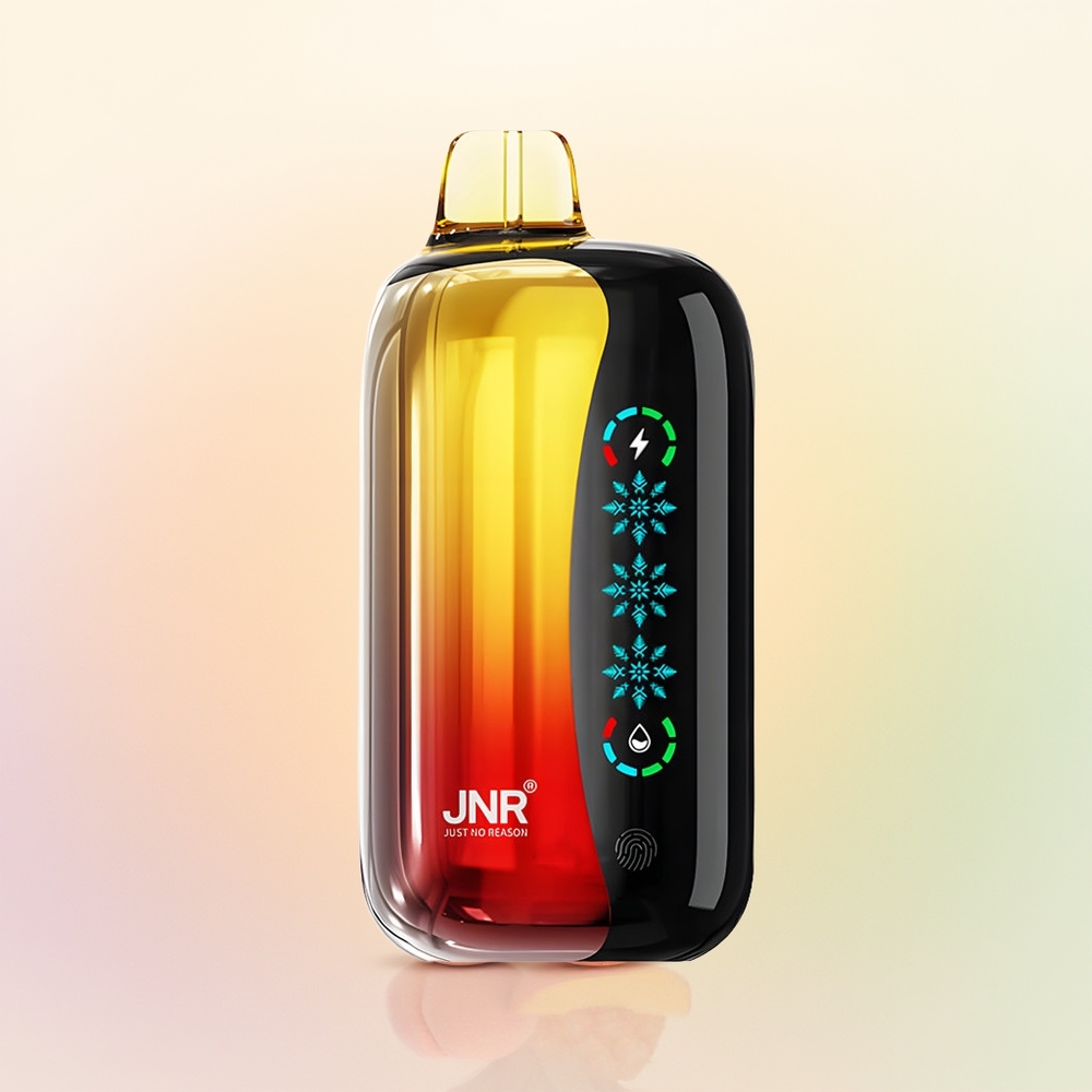 JNR Flex Ice 21000 خوخ مانجو أناناس مع شاشة لمس