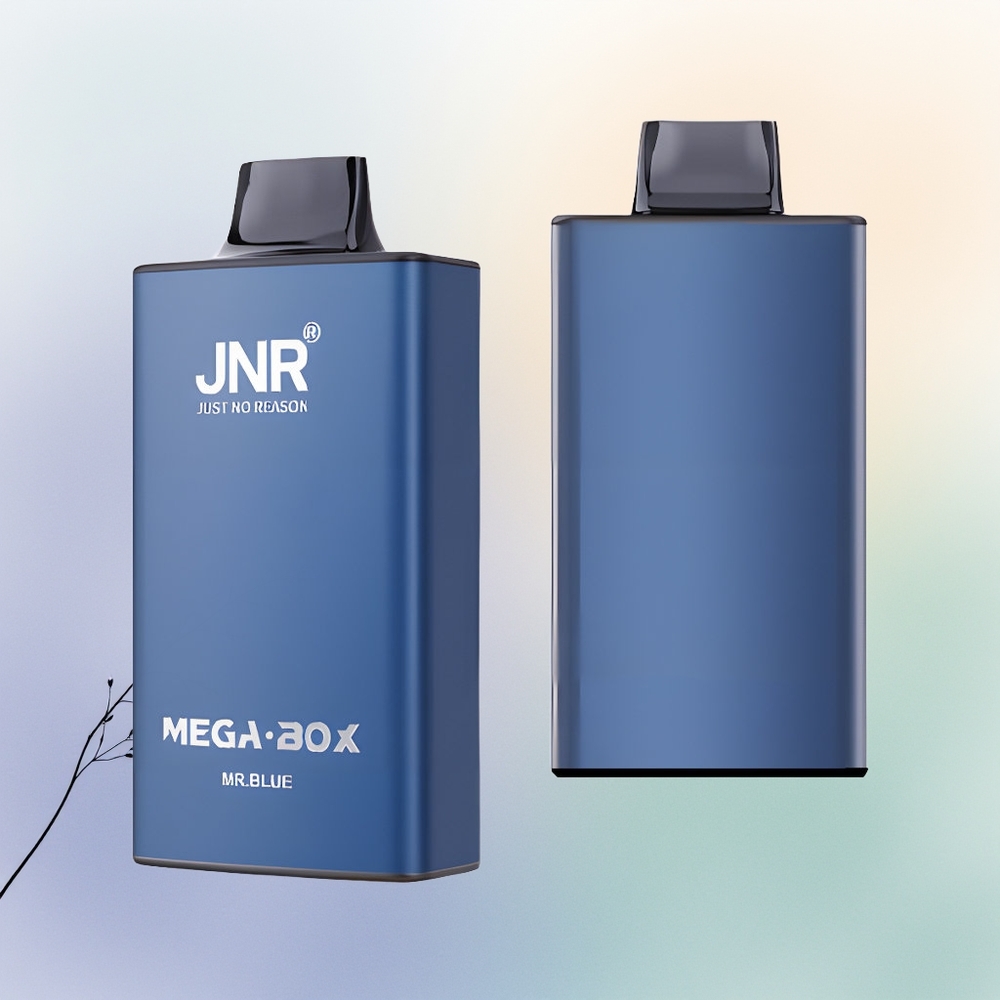 JNR Mega Box 25000 السيد الأزرق 850 ملي أمبير