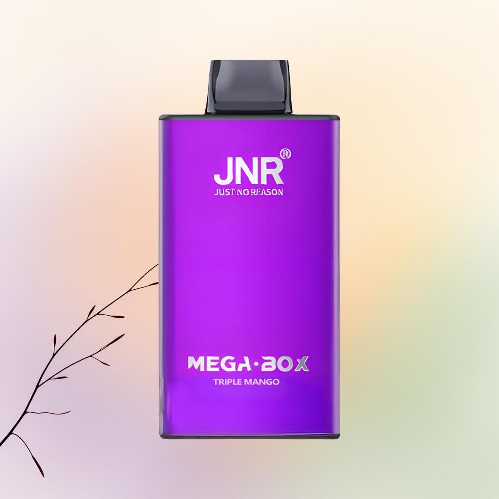 JNR Mega Box 25000 مانجو ثلاثي بشحن سريع