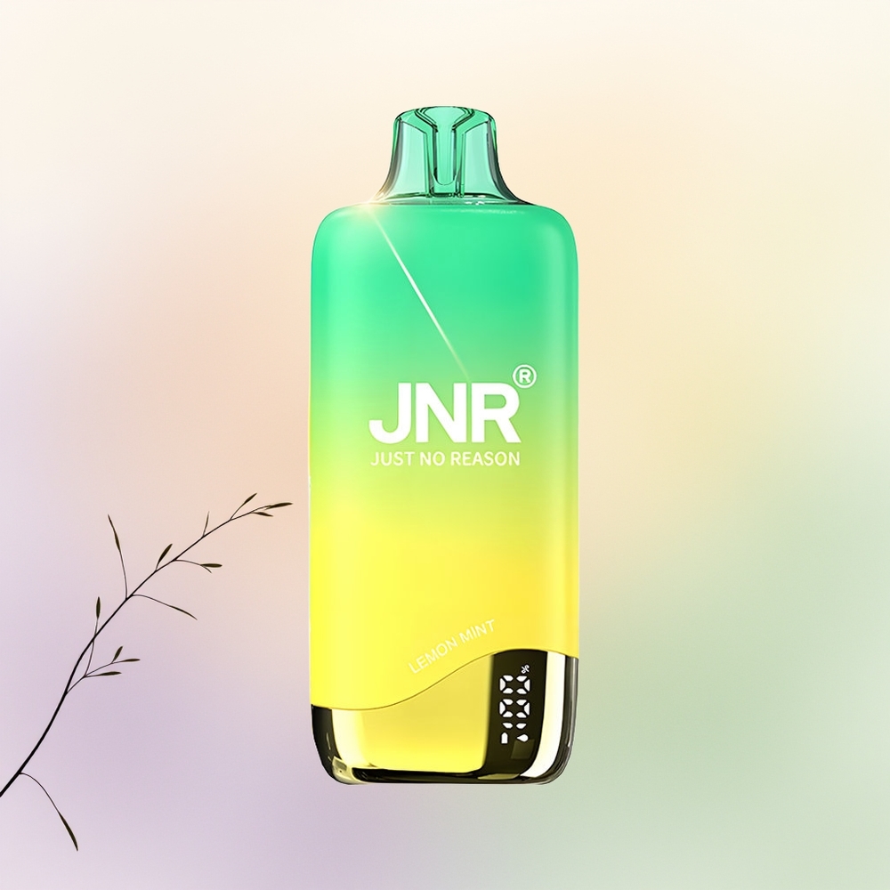 JNR Rainbow 10500 نعناع ليمون بشحن USB Type-C