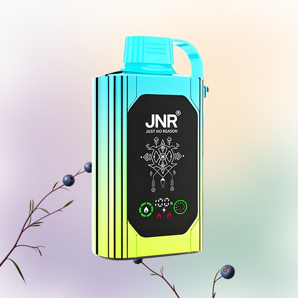 JNR Shisha Hookah Box 20500 النعناع البري مع شحن سريع نوع سي