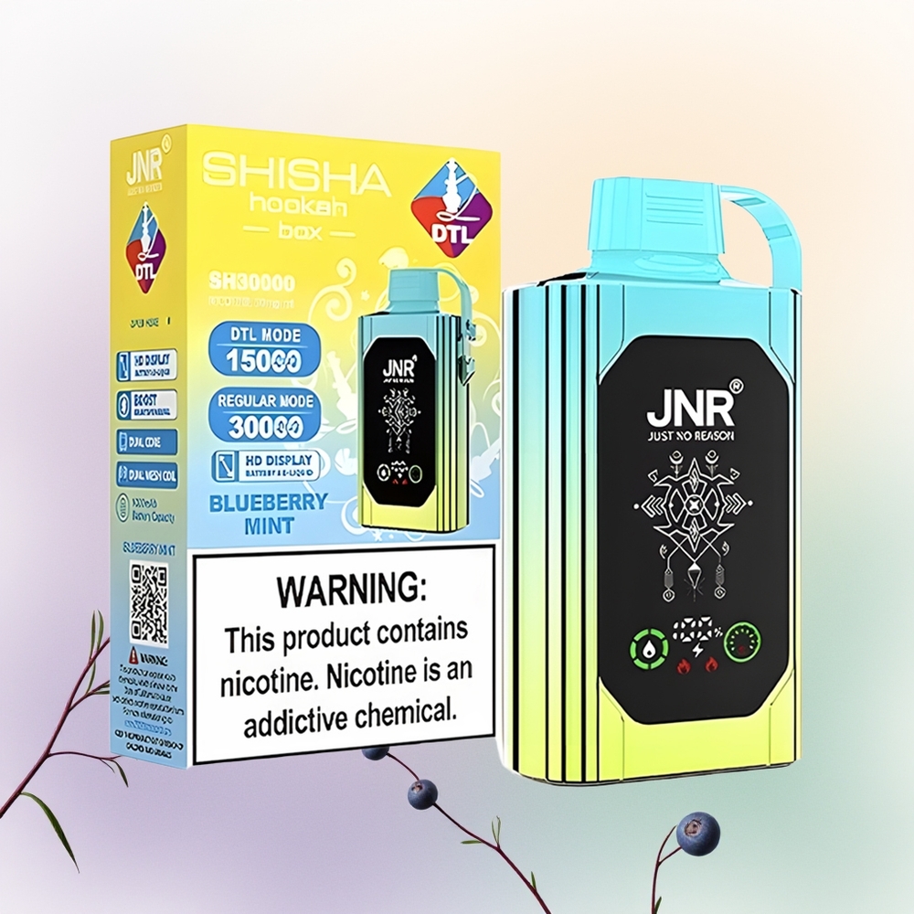 JNR Shisha Hookah Box 20500 النعناع البري مع شحن سريع نوع سي