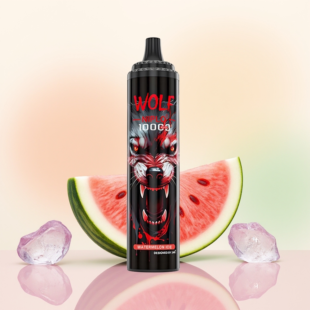 JNR Wolf Niplo 10000 بطيخ مثلج بشاحن سريع نوع سي