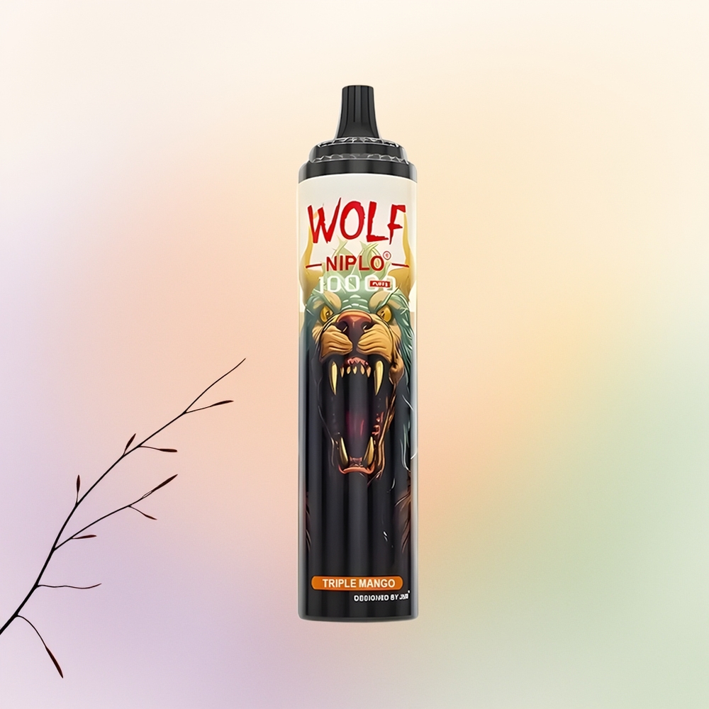 JNR Wolf Niplo 10000 مانجو ثلاثي بشحن سريع نوع سي