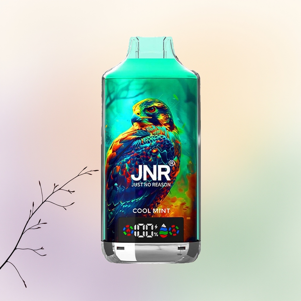 JNR Falcon X 18000 نعناع منعش - شحن سريع نوع سي