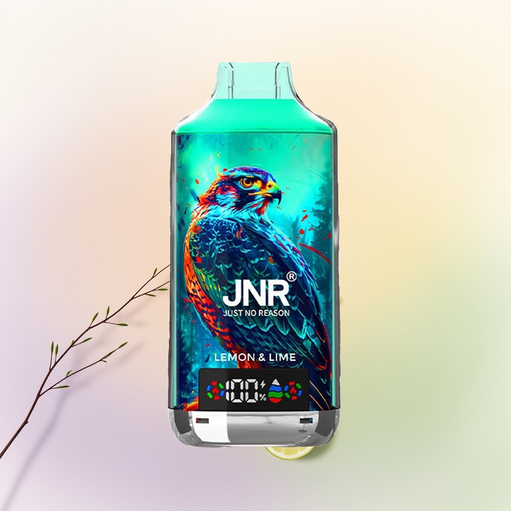 JNR Falcon X 18000 ليمون لايم مع شاحن سريع نوع سي