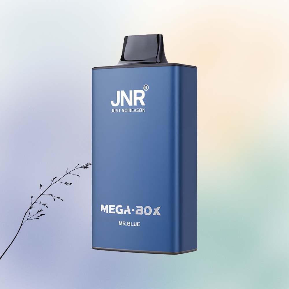 JNR Mega Box 25000 السيد الأزرق 850 ملي أمبير