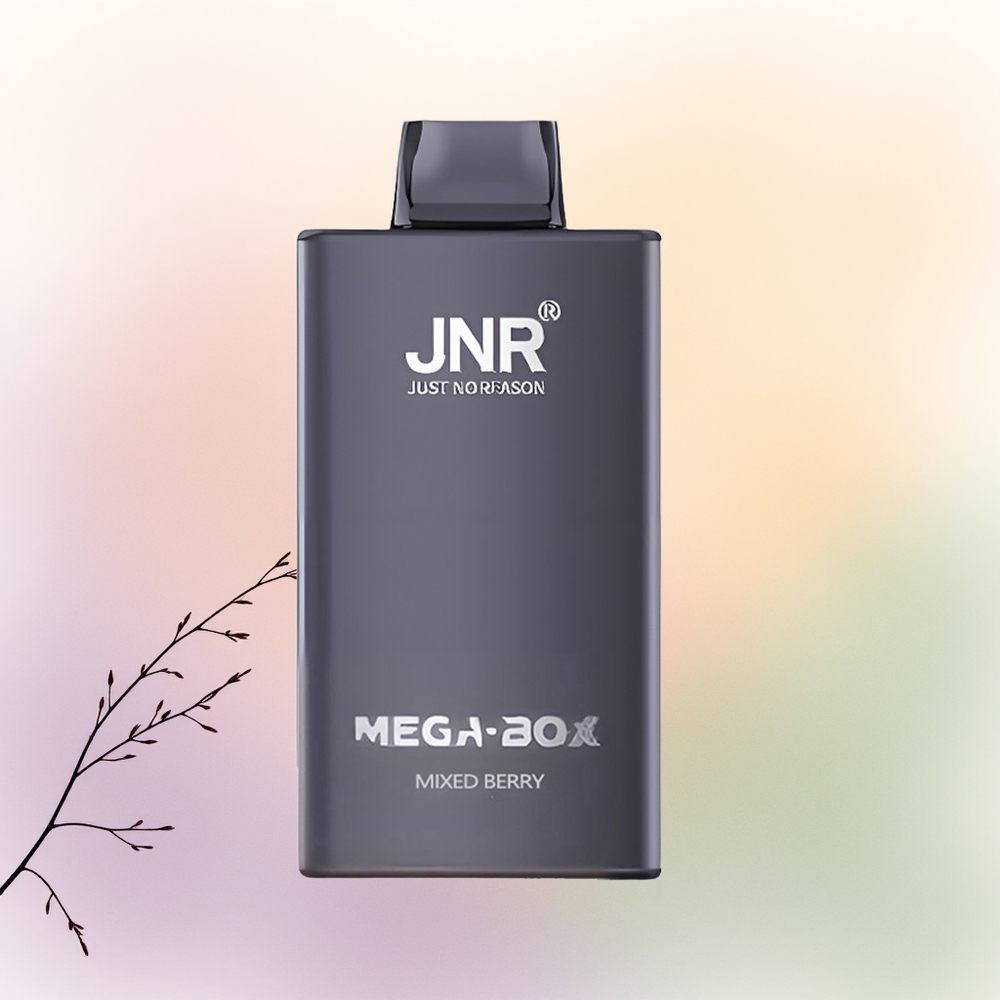 JNR Mega Box 25000 توت مشكل مع شحن سريع